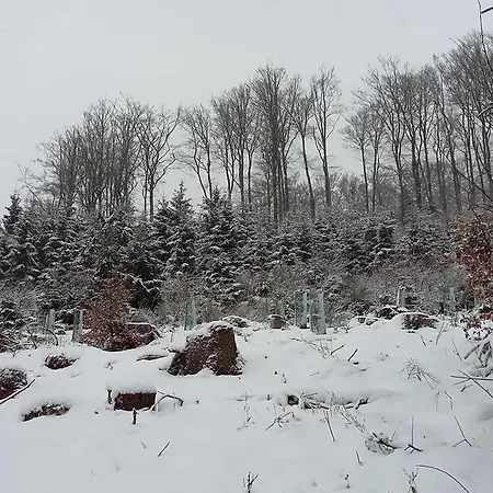 Holiday home Waldhuesli Winterberg
