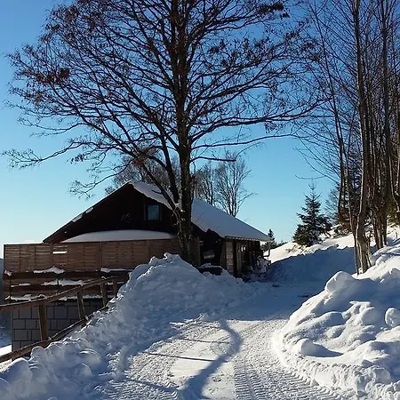 Waldhuesli